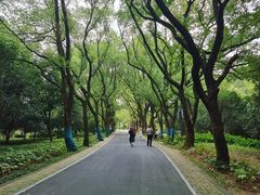 -东湖落雁景区