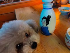 美人梅酒-熊藏居酒屋(kkone店)