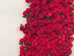 -22ºN BISTRO西餐&酒馆(石奥商业街店)