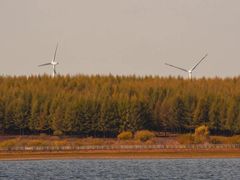 -塞罕坝国家级自然保护区