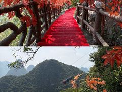 -荔江湾景区