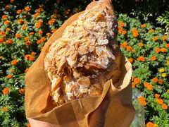 -麦田工坊(月湖店)