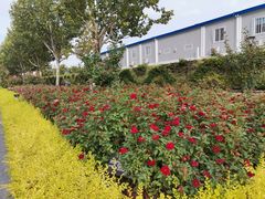 -上海山野camping·户外天幕烧烤·团建拓展营地