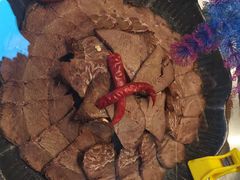 -徽三说·土徽菜·中国徽菜连锁品牌(一中店)