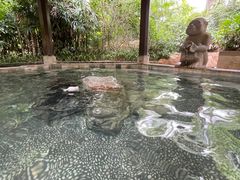 -厦门日月谷温泉渡假村