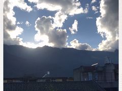 -喵屿·大理花园猫咖