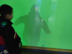 -苏州青少年科技馆