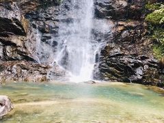 -九龙江国家森林公园