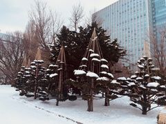 -北海道厅旧本厅舍(旧本庁舎)