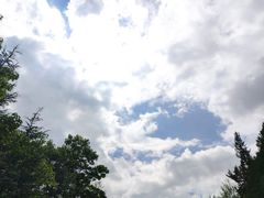 -丽江文化旅游学院