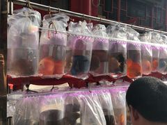 -华声天桥民俗文化园