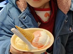 -极拉图·现制冰淇淋(大卫城店)