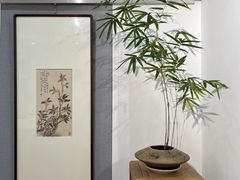 -椰不二(江北大洋百货店)