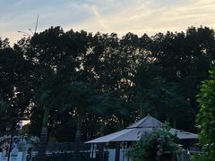 -迪卡侬(雨花店)