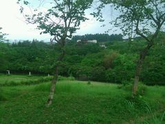 android_upload_pic-广州世界大观