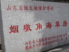 -烟墩角天鹅湖