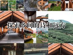 -杨家堂村