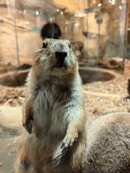 -Zoolung Zoolung动物主题公园(海信广场店)