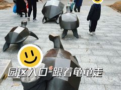 -广东惠东海龟国家级自然保护区