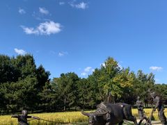 -北坞公园