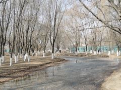 -长白岛森林公园