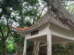 -狮子山郊野公园