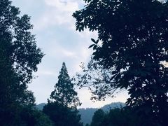 -杭州上天竺法喜讲寺