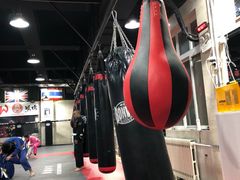 -格斗兄弟搏击健身训练馆(望京店)
