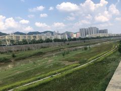 -黄帝陵