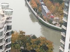-新湖明珠城