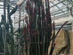 -南山植物园