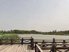 -野鸭湖国家湿地公园