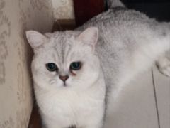 -小八仙·宴(三峡茶庄店)