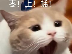 -百富烤霸 烤鸡汉堡(长江路店)