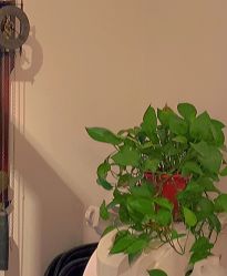 -新龙门刺青·纹身