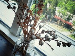 -娜娜家•Nana’Garden (福州道店)