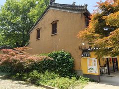-灵谷景区