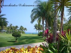 9副本-三亚亚龙湾红树林度假酒店