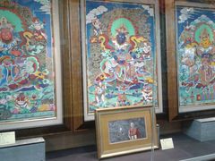 -紫竹院公园冰场