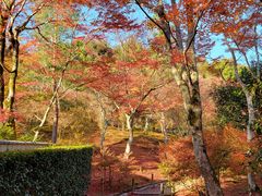 -天龙寺