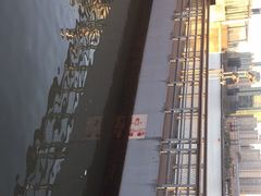 -公平路渡口(轮渡站)
