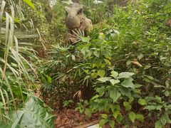 -海南热带野生动植物园