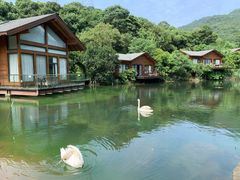 -杭州开元森泊度假乐园