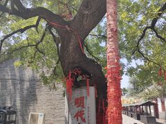 -杨家埠民间艺术大观园