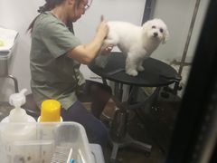 -哆趣宠物医院·眼科·内镜·急重症转诊中心(上海店)
