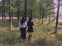 -艾溪湖湿地公园