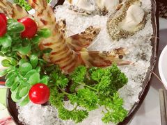 -鲜入围煮花胶鸡海鲜火锅