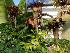 -国家植物园南园