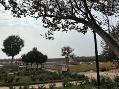 -武汉紫薇都市田园