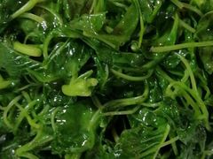 -锦江都城闵行饭店